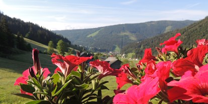 Pensionen - Wanderweg - Pongau - Blick vom Balkon - Ferienwohnungen Haus Bergfried