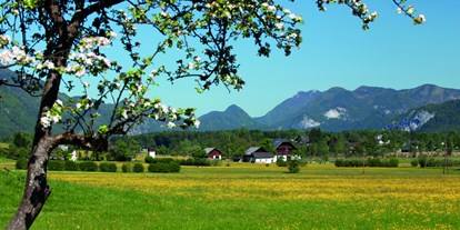 Pensionen - Umgebungsschwerpunkt: Berg - Tiefgraben - Frühlingsstimmung - Appartementhaus Grill