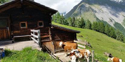 Pensionen - Parkplatz: kostenlos bei der Pension - Tirol - Jungvieh auf der Alm - Bergerhof