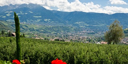 Pensionen - WLAN - Trentino-Südtirol - unsere Aussicht auf Meran - Pension Plarserhof
