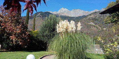 Pensionen - Restaurant - Trentino-Südtirol - Unser Garten zur Nordseite mit herrlichem Blick auf den Naturpark Texelgruppe. Der Bekannteste Wanderweg ist der Meraner Höhenweg. - Pension Plarserhof