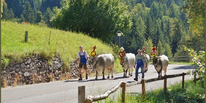 Pensionen - Art der Pension: Urlaubspension - Trentino-Südtirol - Langeshof