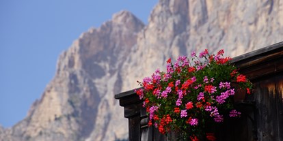 Pensionen - Langlaufloipe - Trentino-Südtirol - Garni Laura