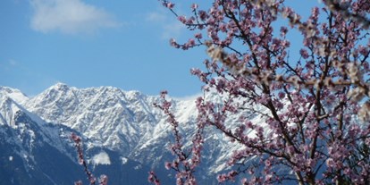 Pensionen - Terrasse - Nals bei Meran - Schnee und Blumen im Frühling! - Pension Sonnheim