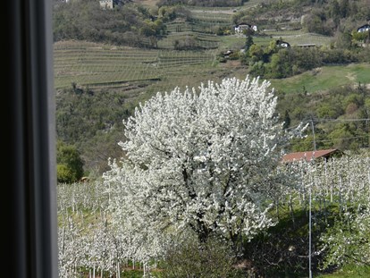 Pensionen - Umgebungsschwerpunkt: Therme - Trentino-Südtirol - Unser einzigartiger Frühling erfreut alle nach einem langen Winter.   - Residence Sonnengarten**