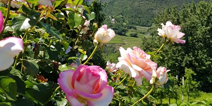 Pensionen - Trentino-Südtirol - 100 verschiedene Rosenstöcke verzieren unser Anwesen.  - Residence Sonnengarten**
