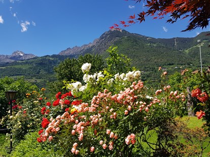 Pensionen - Hunde: erlaubt - Trentino-Südtirol - Bei strahlendblauem Himmel, bunter Blumenpracht, mit frischer, vom blumigen Aroma erfüllter Luft  werden alle Ihre Sinne geweckt. - Residence Sonnengarten**