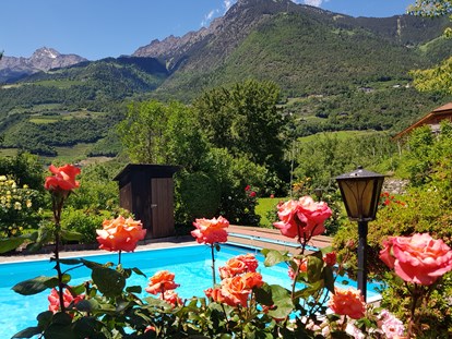 Pensionen - Balkon - Italien - Umgeben von einer traumhaft schönen Kulisse lässt es sich im Schwimmbad herrlich planschen.   - Residence Sonnengarten**