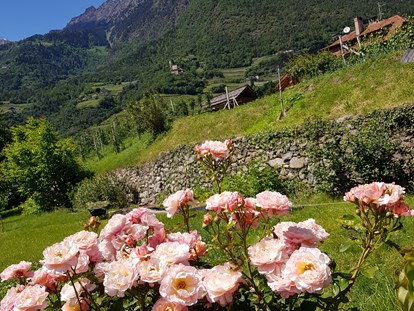 Pensionen - Garten - Trentino-Südtirol - In dieser Idylle fehlen nur mehr der Liegestuhl und Sie. - Residence Sonnengarten**