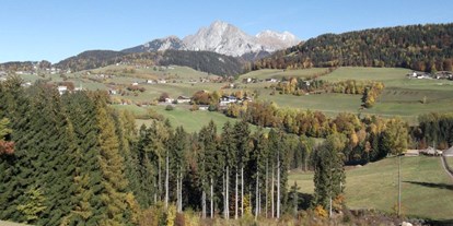 Pensionen - Hunde: auf Anfrage - Dorf Tirol - Steinerhof Hafling