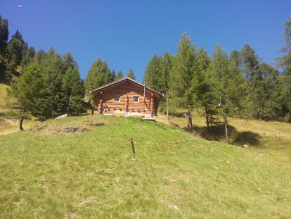 Pensionen - Wanderweg - Trentino-Südtirol - Pension  Trausberg **