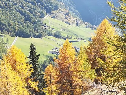 Pensionen - Frühstück: warmes Frühstück - Trentino-Südtirol - Pension  Trausberg **