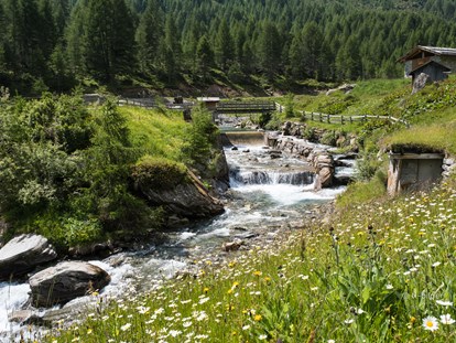 Pensionen - Umgebungsschwerpunkt: Fluss - Trentino-Südtirol - Pension  Trausberg **