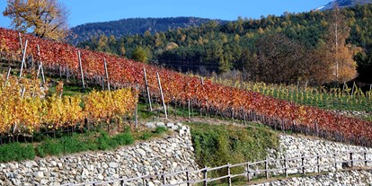 Pensionen - Art der Pension: Ferienwohnung - Trentino-Südtirol - Herbstfärbung der Weinreben - Haus Karin ***