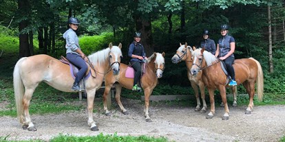 Pensionen - Umgebungsschwerpunkt: am Land - Angath - PFERDE
Unsere Pferde sind sehr rücksichtsvoll und lieben es Ausreiten zu gehen. - Ferienpension Am Haflingerhof