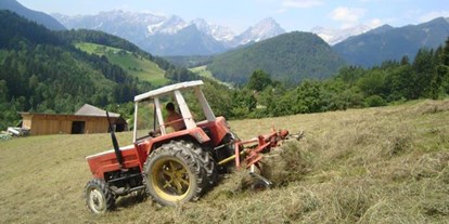 Pensionen - Art der Pension: Urlaub am Bauernhof - Scharnstein - Pferde- und Schafhof Klinser