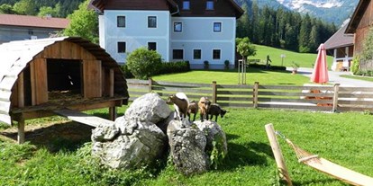 Pensionen - Umgebungsschwerpunkt: Berg - Admont (Admont) - Baby- und Kinderbauernhof Riegler