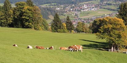Pensionen - Hunde: hundefreundlich - Thomatal - Ferienwohnungen Veitlbauer