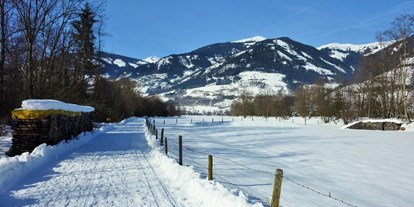 Pensionen - Terrasse - Hohe Tauern - Winterspaziergang in Uttendorf - Pension zu Hause