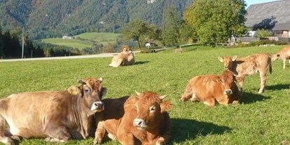 Pensionen - Art der Pension: Urlaub am Bauernhof - Österreich - Ferienhof Grossgrub