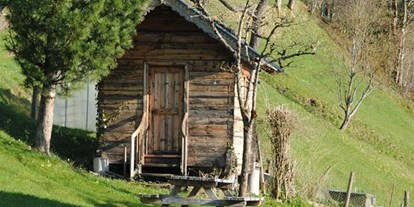 Pensionen - Art der Pension: Urlaub am Bauernhof - Angerberg - Ferienwohnungen Siedlerhof