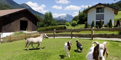 Pensionen - Hunde: hundefreundlich - Brixen im Thale - Biobauernhof Vordermühltalhof