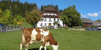Pensionen - Art der Pension: Urlaub am Bauernhof - Lungau - Polzhof