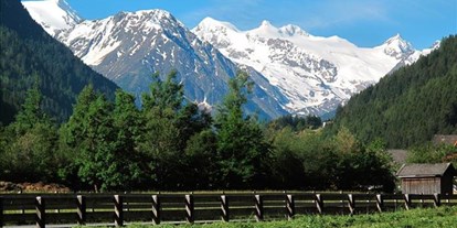 Pensionen - Garten - Stubaital - Alpenhaus Monte