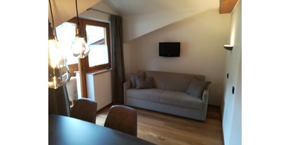 Pensionen - Langlaufloipe - Bad Gastein - Auszieh Couch Appartement D  - Gästehaus Toferer