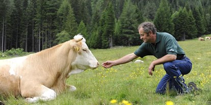 Pensionen - Hunde: erlaubt - Hüttschlag - Gasthof Alpenrose