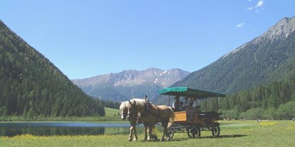 Pensionen - Hunde: erlaubt - Hohe Tauern - Gasthof Alpenrose