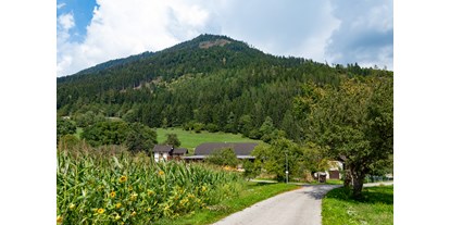 Pensionen - Umgebungsschwerpunkt: am Land - Flattach - Der Blick auf den Hof - Haus Brunner - Ferienwohnung im Hühnerhotel