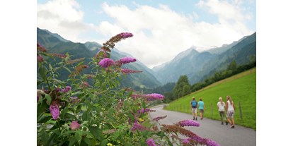Pensionen - WLAN - Hohe Tauern - Ferienwohnung Blick auf das Kitzsteinhorn  - Oberaigenhof Ferienwohnungen Kaprun 