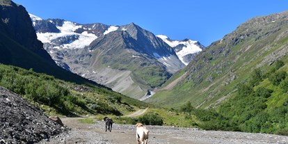 Pensionen - Langlaufloipe - Tiroler Oberland - Pension Alpin