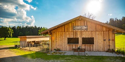 Pensionen - Art der Pension: Urlaub am Bauernhof - Filzmoos (Filzmoos) - Zottl-Kino - Fürsterhof Ramsau