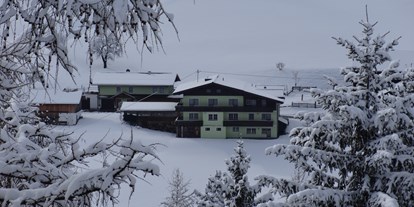 Pensionen - Balkon - Abtenau - Winter bei uns in der Steiermark  - Entingerhof