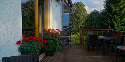 Pensionen - Langlaufloipe - Ramsau (Bad Goisern am Hallstättersee) - Terrasse Aufenthaltsraum - Dachsteinhof