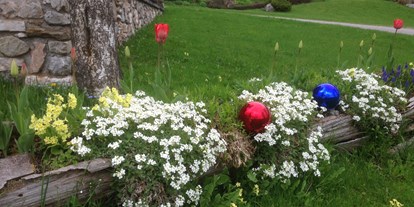 Pensionen - Wanderweg - Großsölk - Frühlingsblumen im alten Brunnen - Bio-Bauernhof Simonbauer