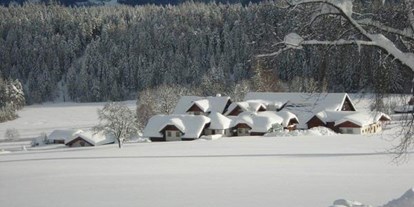 Pensionen - Parkplatz: kostenlos bei der Pension - Haus (Haus) - hintere Nord-Winter Ansicht - Bio-Bauernhof Simonbauer