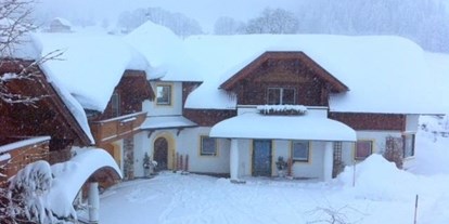 Pensionen - Sauna - Aich (Aich) - Schneetreiben - Bio-Bauernhof Simonbauer