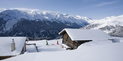 Pensionen - Spielplatz - Mayrhofen (Mayrhofen) - Brixnerhof im Zillertal