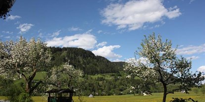 Pensionen - Art der Pension: Urlaub am Bauernhof - Schladming - Weitgasserhof