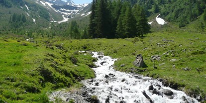 Pensionen - Terrasse - Tiroler Oberland - Natur  - Gasthof Alpenblick