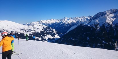 Pensionen - Umgebungsschwerpunkt: Berg - Uderns - Skifahren - Pension Rosengarten