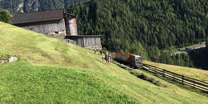 Pensionen - Sauna - Fulpmes - Appartements Biobauernhof der Veitenhof Heuernte Sommer Niederthai im Ötztal in Tirol  - Bio & Reiterhof der Veitenhof