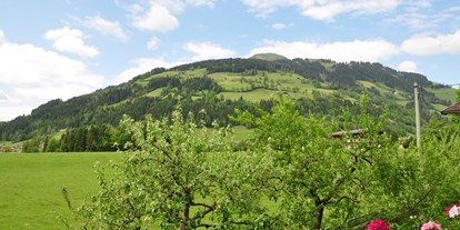 Pensionen - Fahrradverleih - Kirchberg in Tirol - Ausblick auf die Hohe Salve - Haus Leo