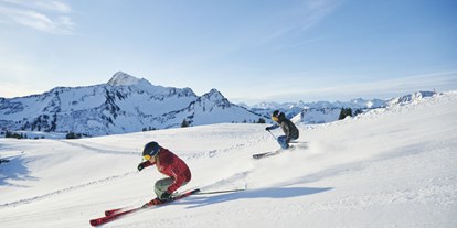 Pensionen - Skilift - Mellau - Hotel - Garni Alpina