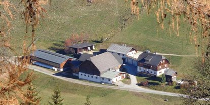Pensionen - Umgebungsschwerpunkt: Berg - Aich (Aich) - Lacknerhof