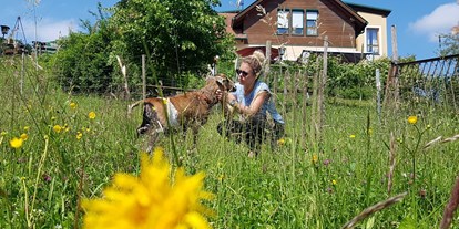 Pensionen - Radweg - Bad Radkersburg - Streichel- Therapie Schafe, eigene Hühner, Enten, Katzen
Hunde herzlich willkommen - Landhaus FühlDichWohl