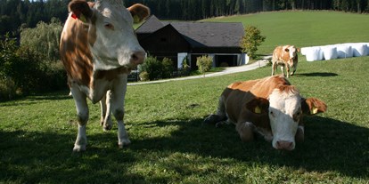 Pensionen - Hunde: erlaubt - Steiermark - Lebendige Landwirtschaft - Urlaub am Bauernhof Hönigshof Familie Kerschenbauer 